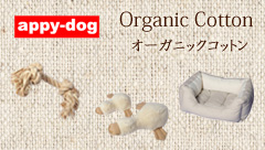 オーガニックコットン